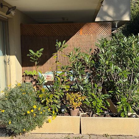 Studio Tout Confort Au Calme Avec Jardin Proche Cannes Le Cannet Exterior foto